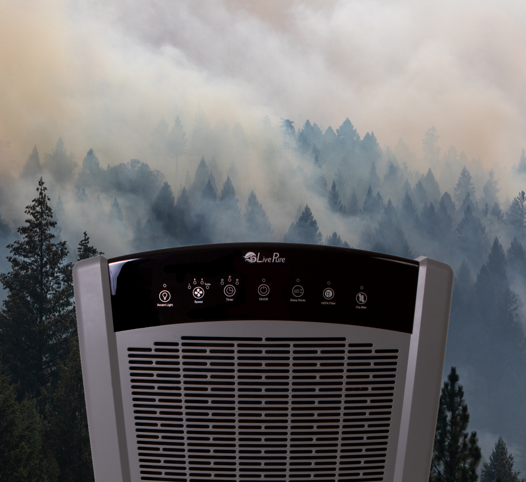True HEPA Air Purifiers & Reduction of Wildfire Smokes