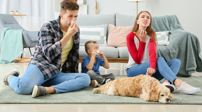 Use Humidifiers and Air Purifiers to Relieve Fall Allergies