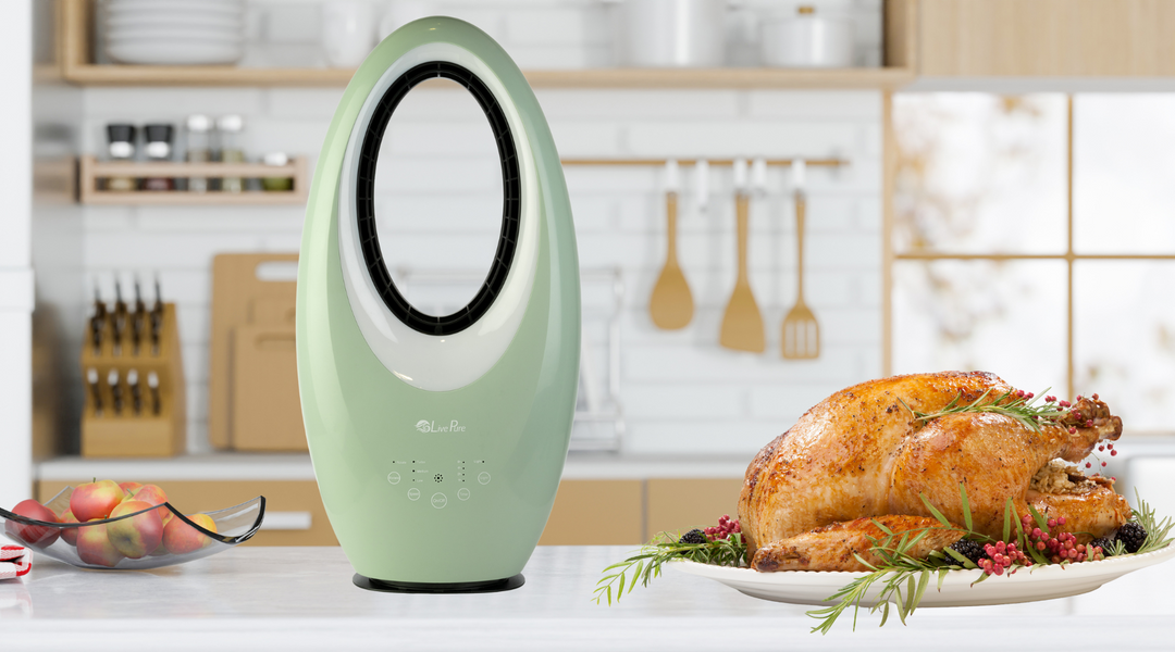 Healthy Holidays with Air Purifiers, Fans, and Sanitizers