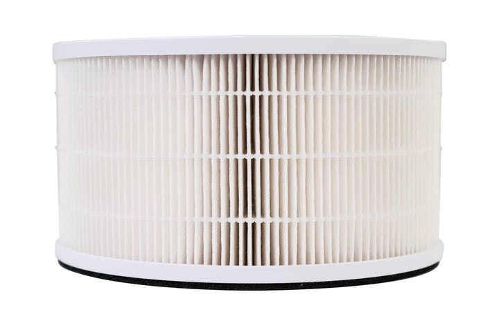 LivePure True HEPA Replacement Filter for LP500APHTR