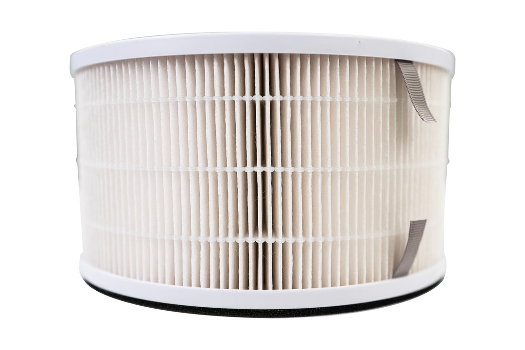 LivePure True HEPA Replacement Filter for LP500APHTR