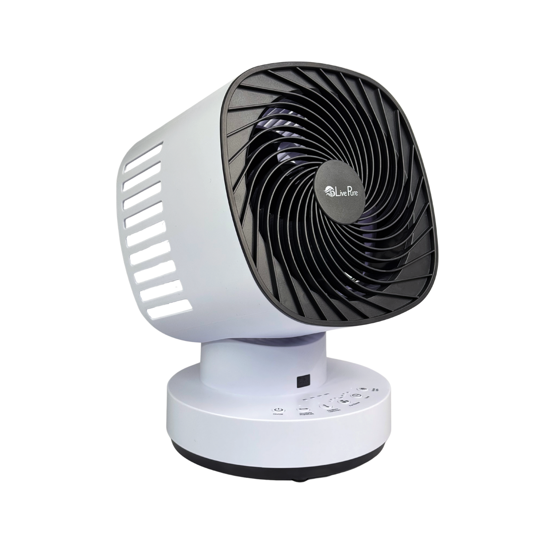 Rechargeable 4 Speed Orbital Dual Oscillating Fan with Remote