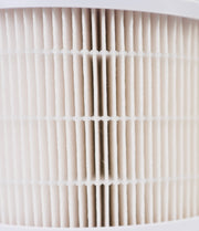LivePure True HEPA Replacement Filter for LP500APHTR