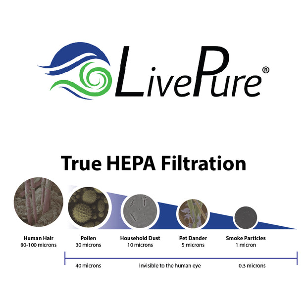 True HEPA Filter Particle Size Chart